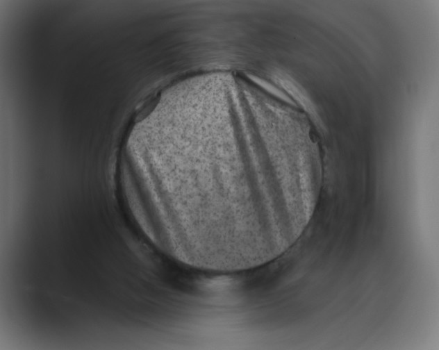 X0000088430058200706191242