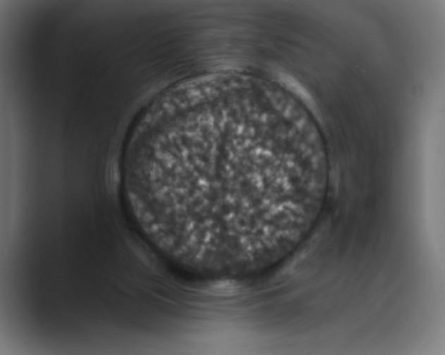 X0000088430059200706191242