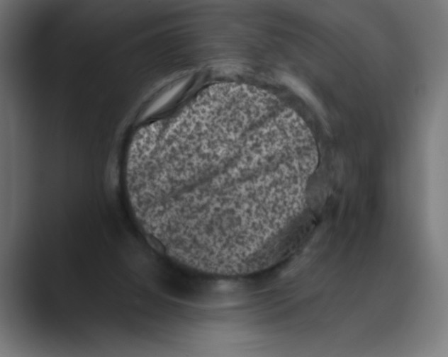 X0000088430060200706191242
