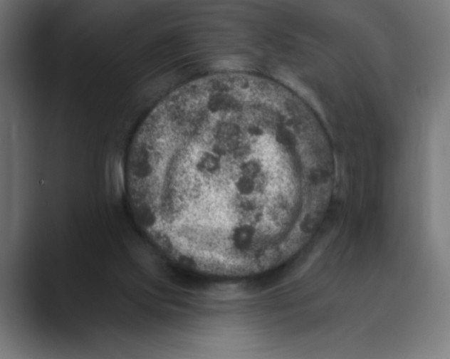 X0000088430061200706191242