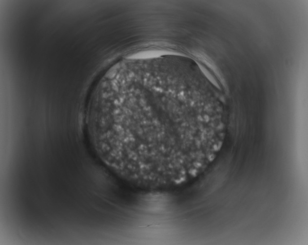 X0000088430063200706191242