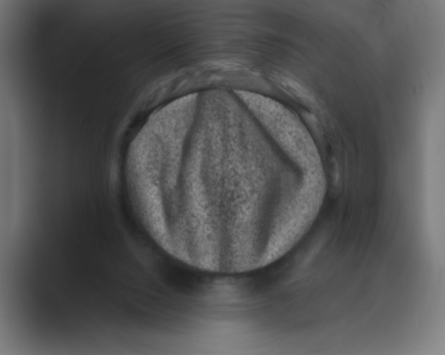 X0000088430064200706191242