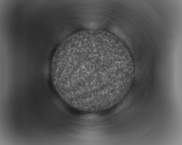 X0000088430065200706191242