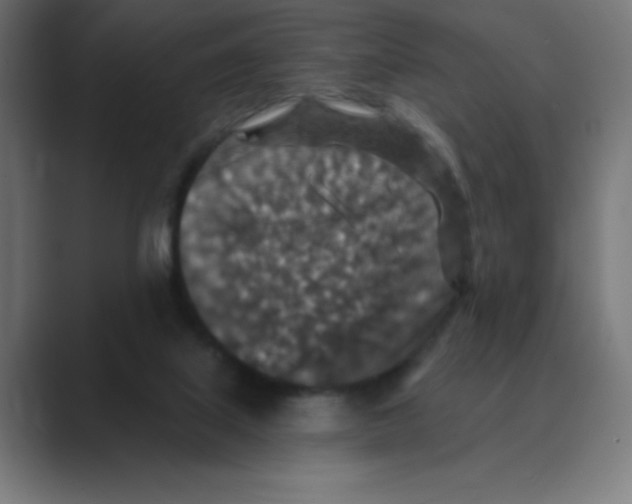 X0000088430067200706191242