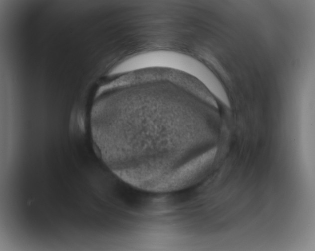 X0000088430068200706191242