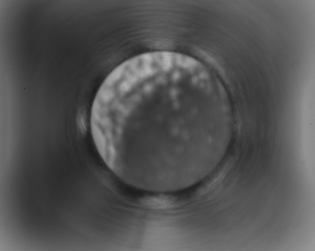X0000088430069200706191242