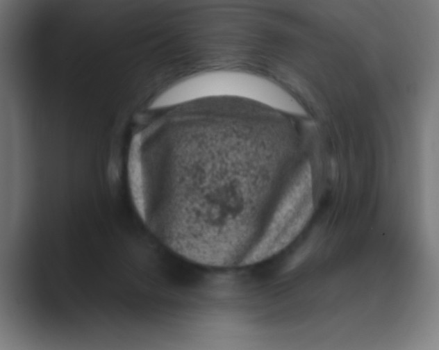X0000088430072200706191242