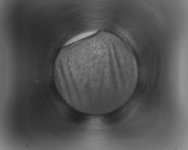 X0000088430073200706191242
