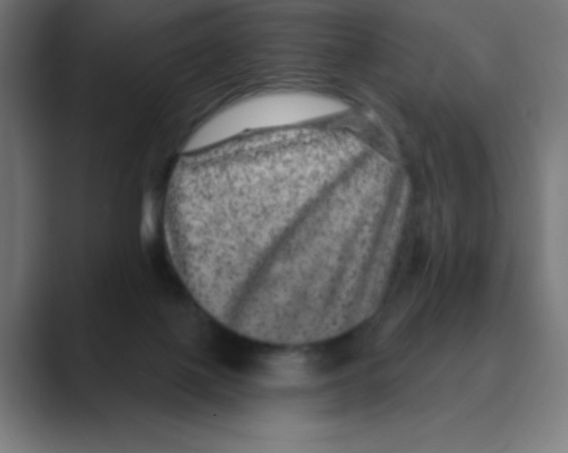 X0000088430075200706191242
