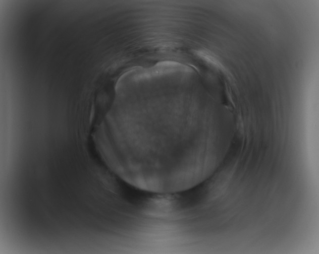 X0000088430076200706191242
