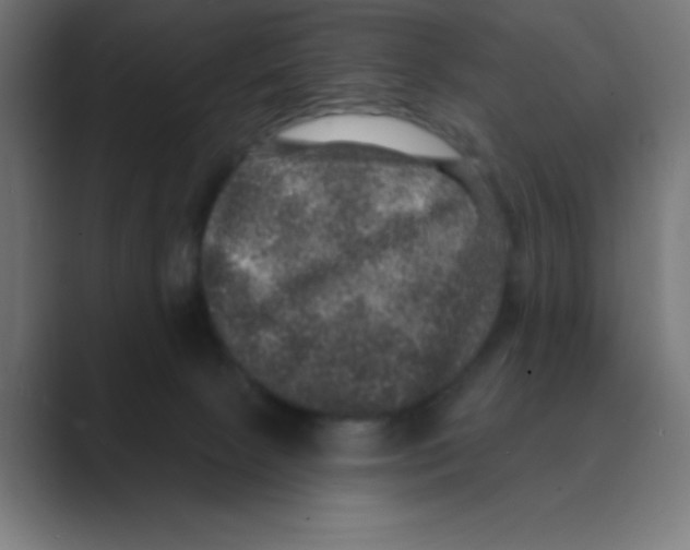 X0000088430081200706191242