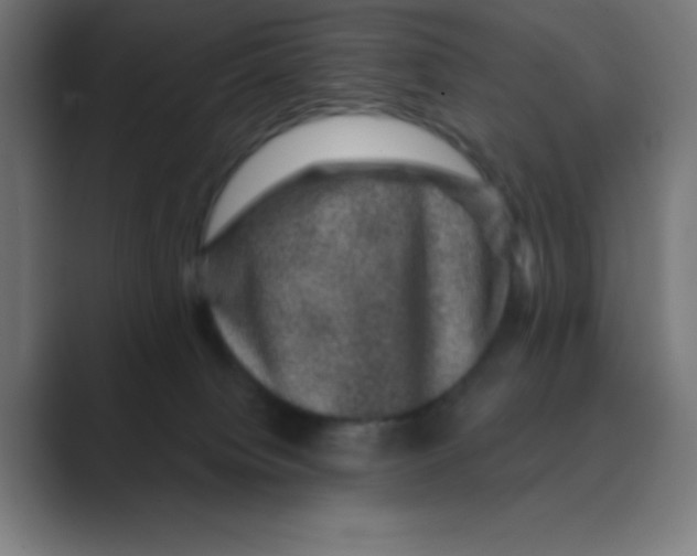 X0000088430084200706191242