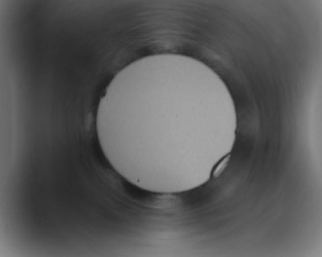 X0000088430087200706191242