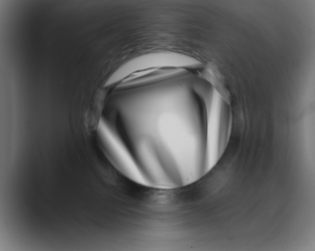 X0000088430088200706191242