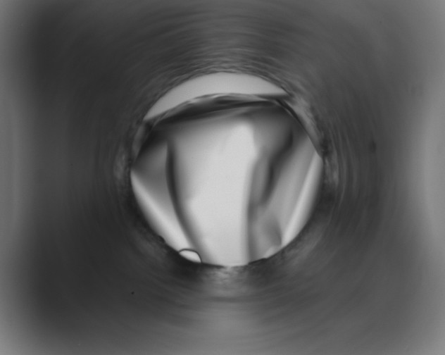 X0000088430092200706191242