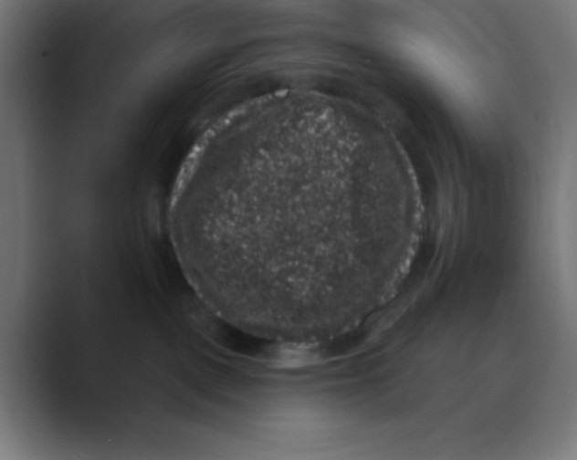 X0000088430093200706191242