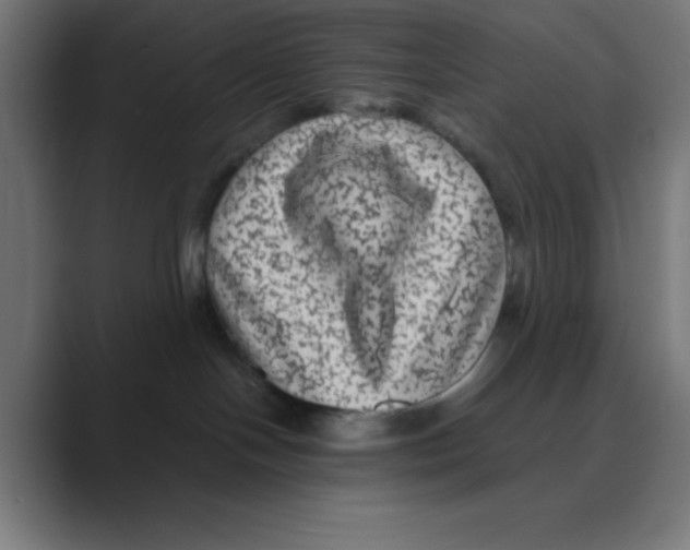 X0000088430094200706191242