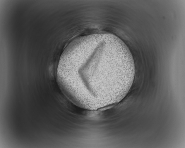 X0000088430096200706191242