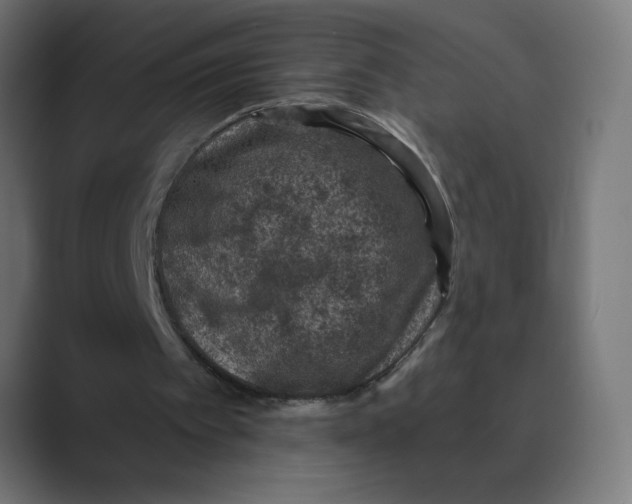 X0000088430097200706191242