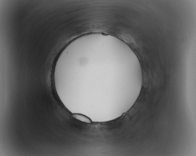 X0000088430098200706191242