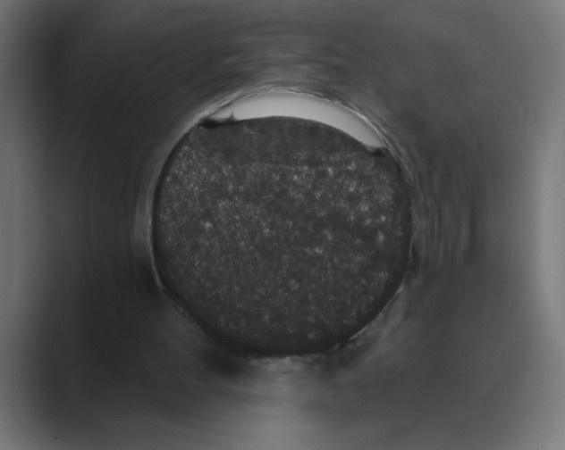 X0000088430100200706191242