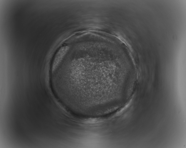 X0000088430101200706191242