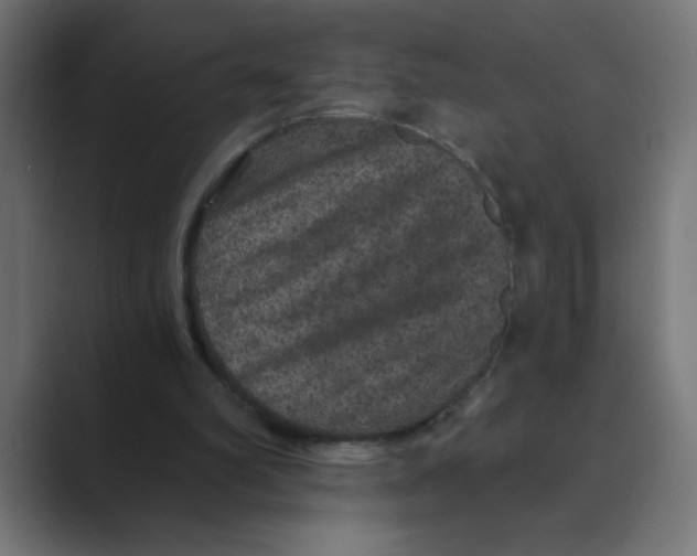X0000088430102200706191242