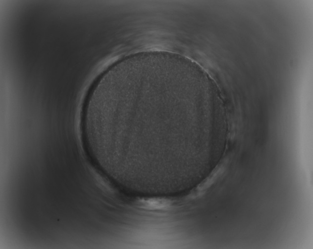 X0000088430104200706191242