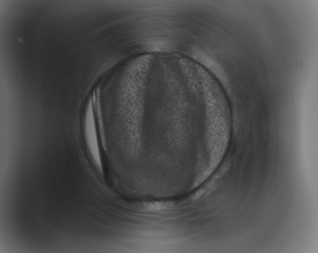 X0000088430105200706191242