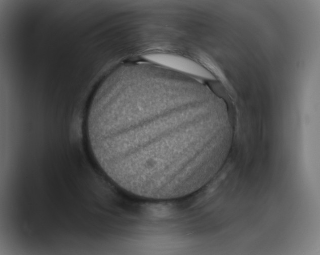 X0000088430106200706191242