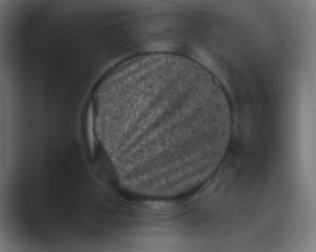 X0000088430107200706191242