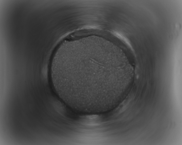 X0000088430108200706191242