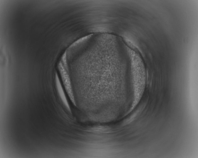 X0000088430109200706191242