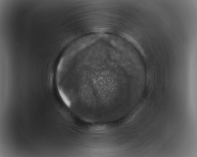 X0000088430110200706191242