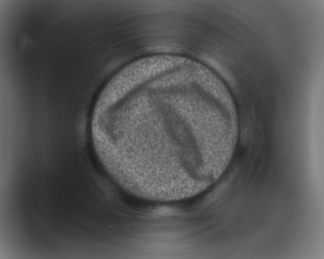 X0000088430111200706191242