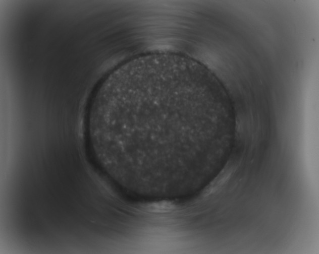 X0000088430112200706191242