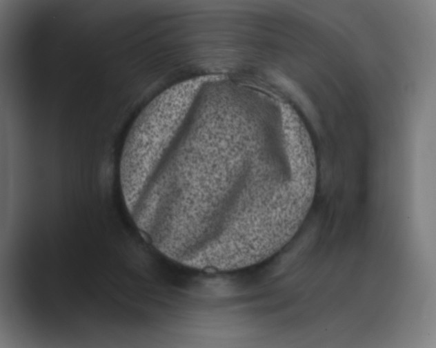 X0000088430113200706191242