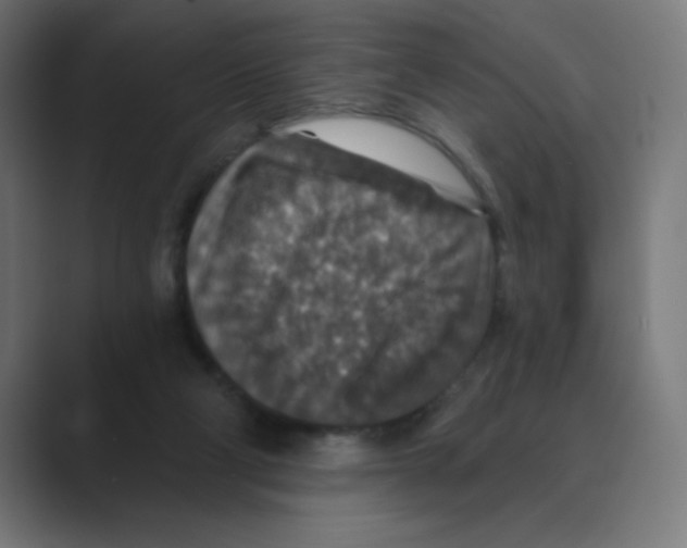X0000088430114200706191242