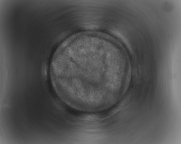 X0000088430115200706191242