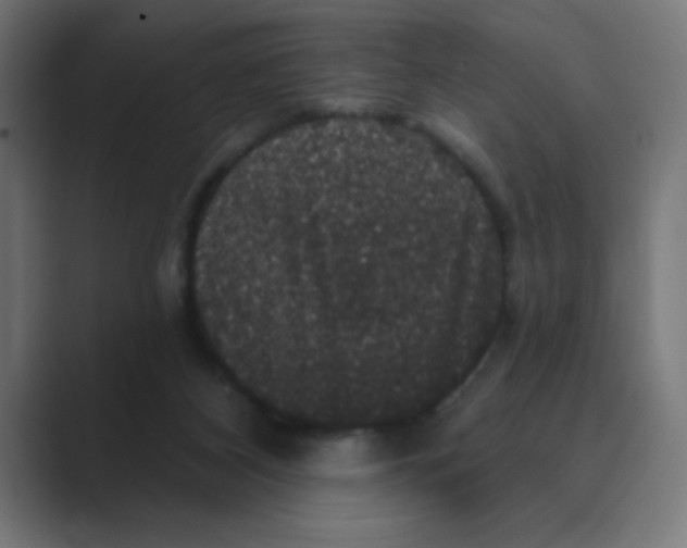 X0000088430116200706191242