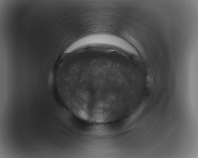 X0000088430117200706191242