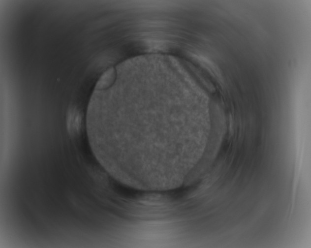 X0000088430123200706191241