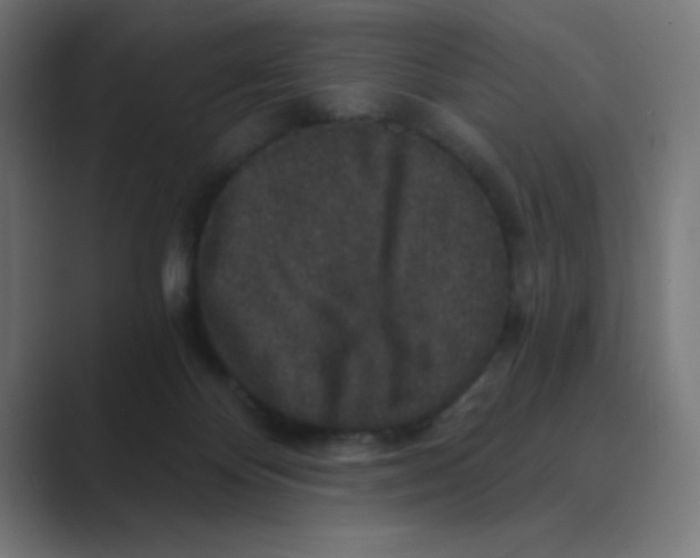 X0000088430124200706191241