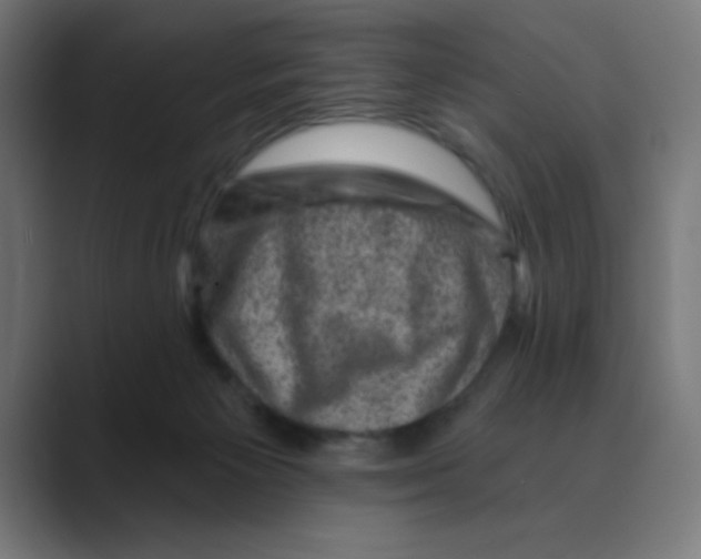 X0000088430125200706191241