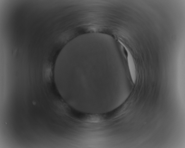 X0000088430127200706191241