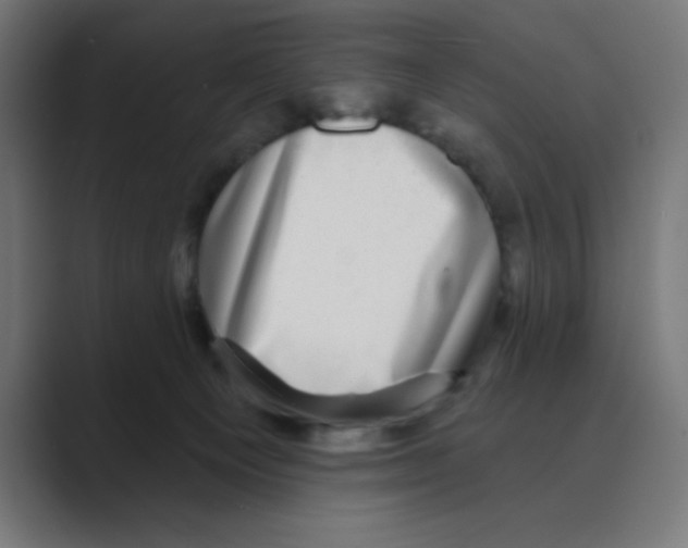 X0000088430129200706191241