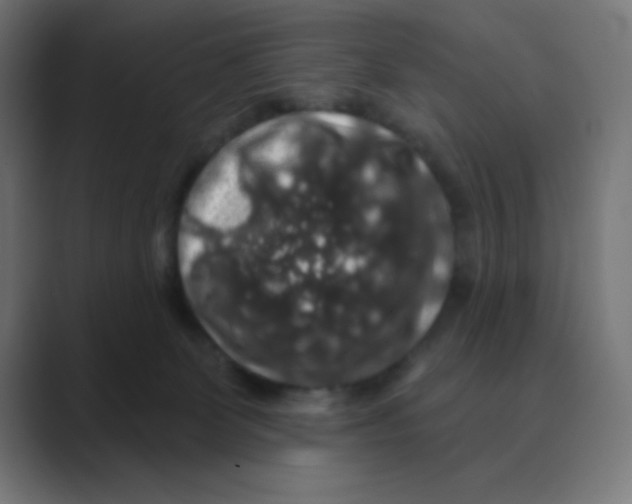 X0000088430131200706191241