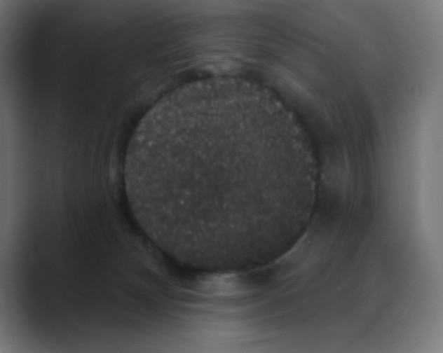 X0000088430132200706191241