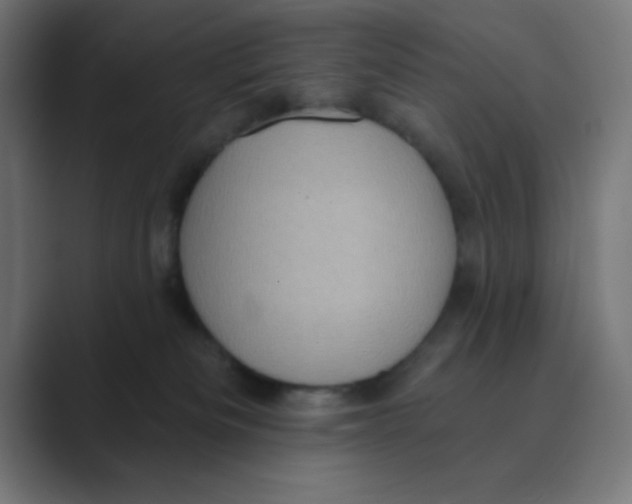 X0000088430133200706191241