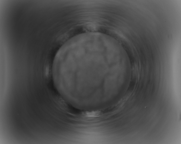 X0000088430134200706191241